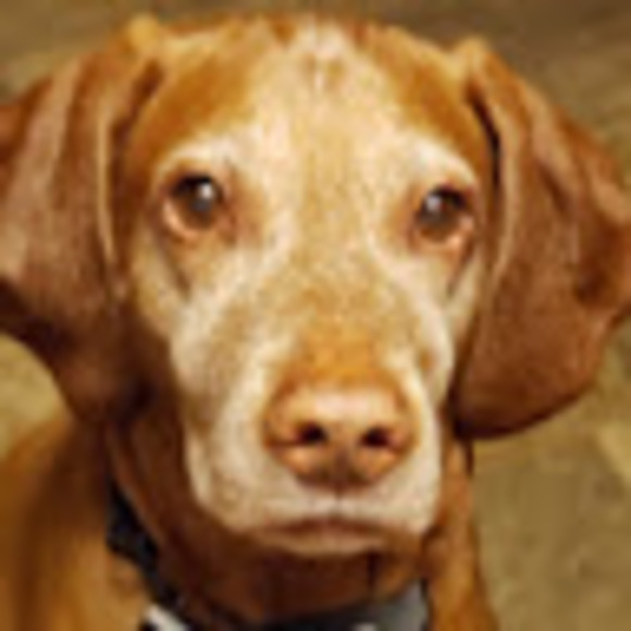 Meet your Posher, T - Picture 1 of 1